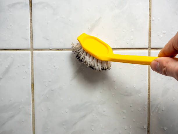 Best Residential Mold Removal  in Weimar, TX