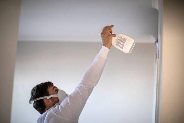 Trusted Weimar, TX Mold Removal Experts