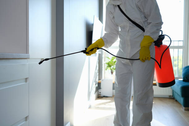 Best Office Mold Removal Services  in Weimar, TX