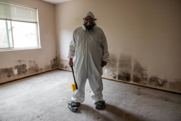 Best Affordable Mold Removal  in Weimar, TX